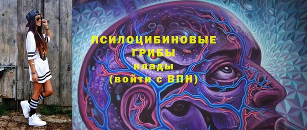 молекула духа Аркадак