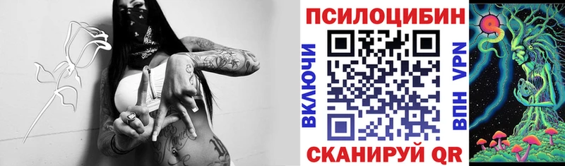 купить наркотик  hydra онион  Псилоцибиновые грибы мицелий  Тюкалинск 